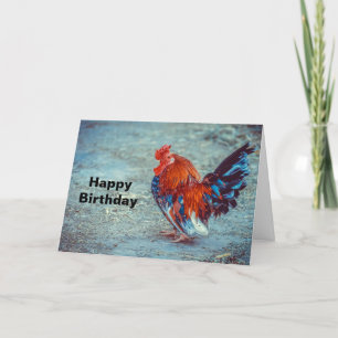 Tarjeta Fotos de gallo coloridas en pollos Cumpleaños
