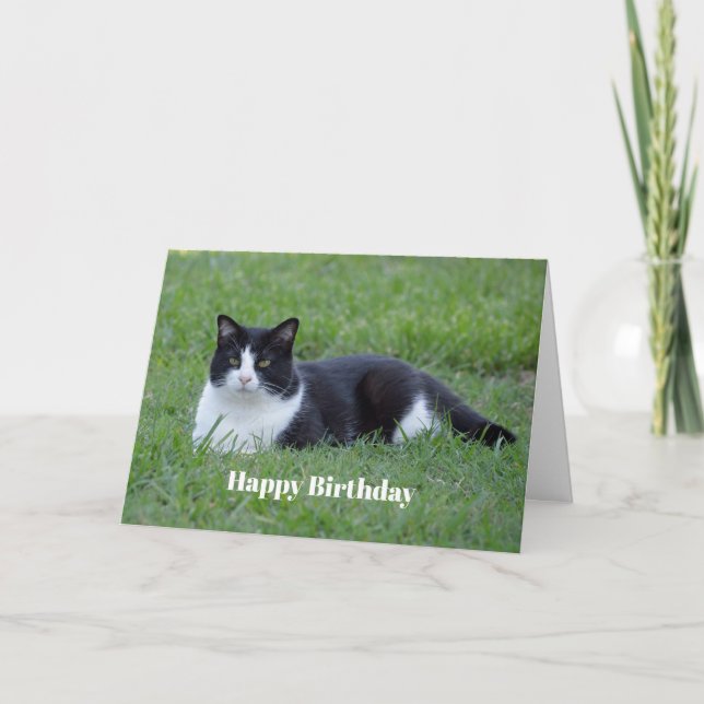 Tarjeta Fotos de gato de bonito negro y blanco tuxedo cump (Anverso)
