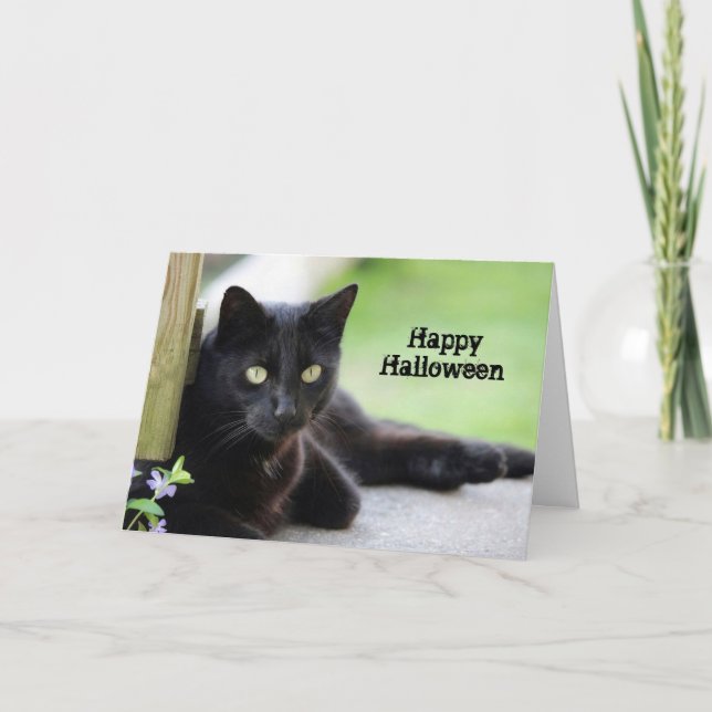 Tarjeta Fotos de gato negro Bonito en Halloween (Anverso)
