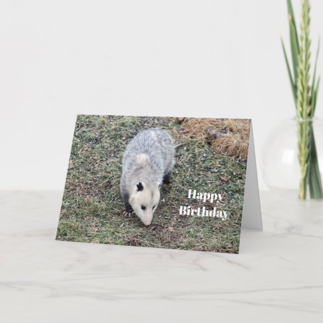 Tarjeta Fotos de Opossum Cumpleaños (Anverso)