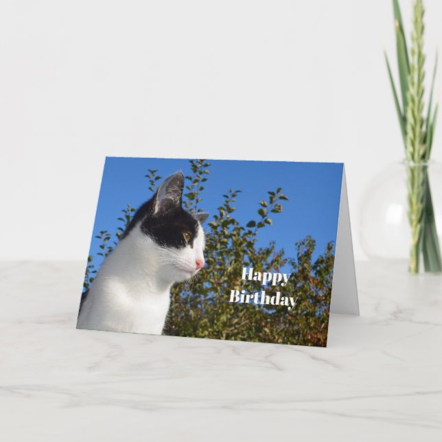 Tarjeta Fotos de perfil en blanco y negro de gato cumpleañ (Anverso)