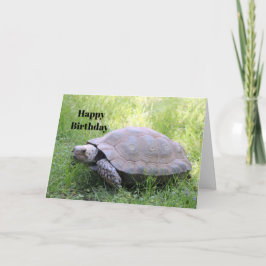 Tarjeta Fotos de tortuga de Wildlife Brown cumpleaños