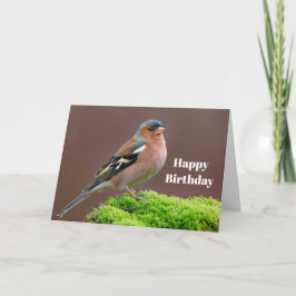 Tarjeta Fotos de Wildlife Chaffinch Cumpleaños