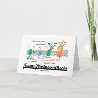 Tarjeta Fotosíntesis de equipo (Reacciones ligeras dependi