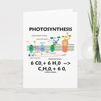 Tarjeta Fotosíntesis (dióxido de carbono + agua)