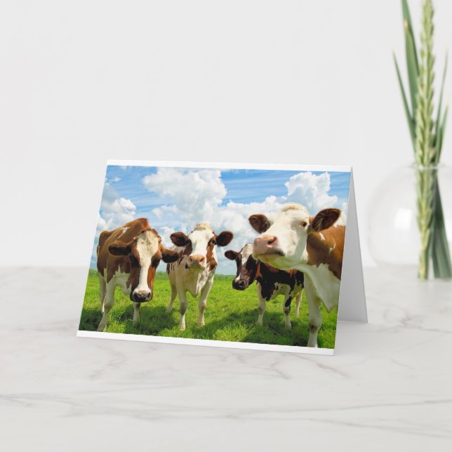 Tarjeta Four chatting cows (Anverso)