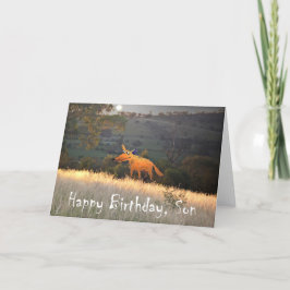 Tarjeta Fox a la luz de la luna, feliz cumpleaños hijo, hu