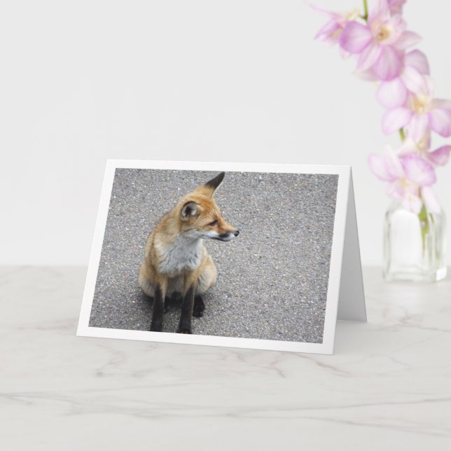 Tarjeta Fox Cub en retrato callejero (Orquídea)