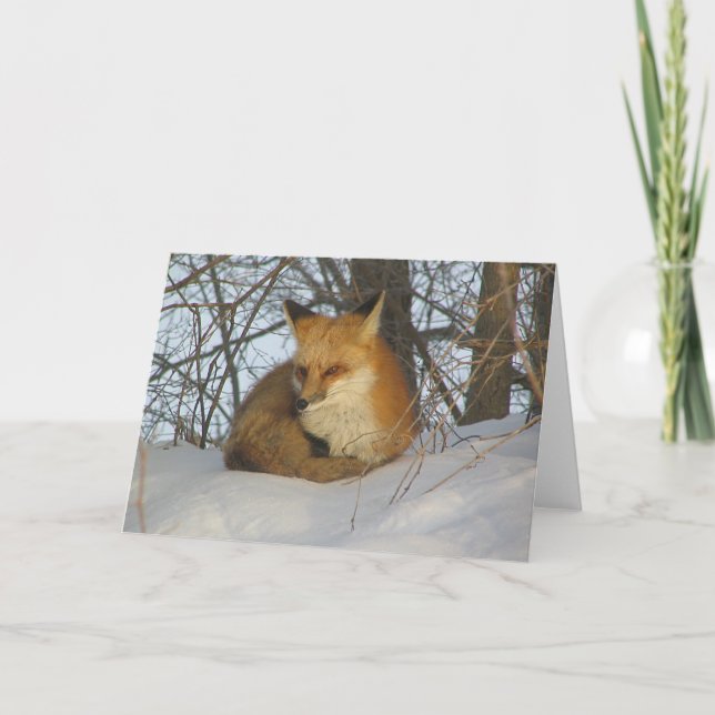 Tarjeta Fox desangrada (Anverso)
