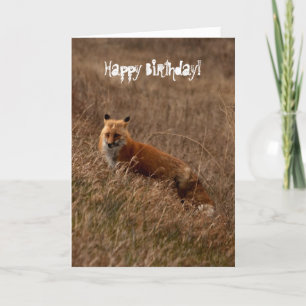 Tarjeta Fox en la hierba; Feliz cumpleaños