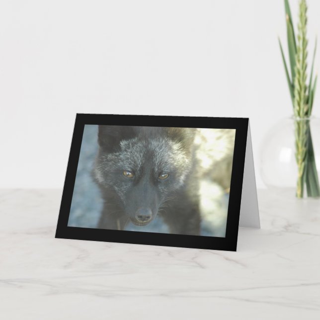 Tarjeta Fox Greeting Card (Anverso)