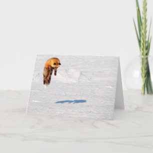 Tarjeta Fox Leap   Yukón (Canadá)