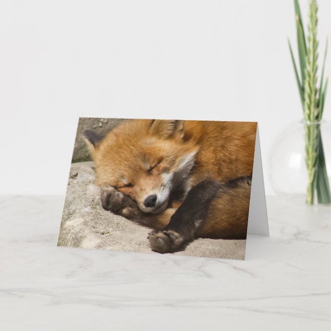 Tarjeta Fox Notecard (Anverso)