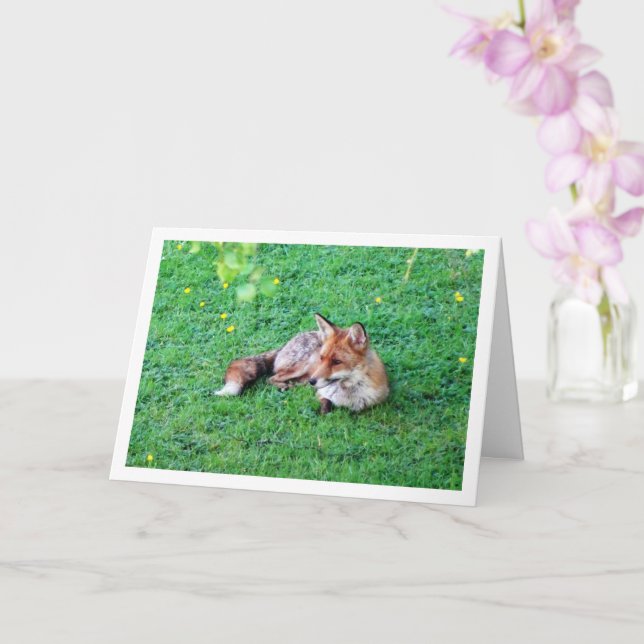Tarjeta Fox poniéndose en la hierba (Orquídea)