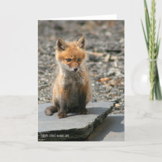 Tarjeta Fox Pup