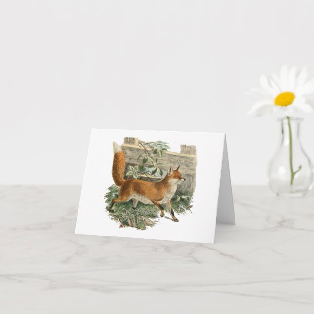 Tarjeta Fox roja en Ilustracion rústico de cabaña (Planta pequeña)
