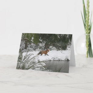 Tarjeta Fox Roja en Winter Wonderland