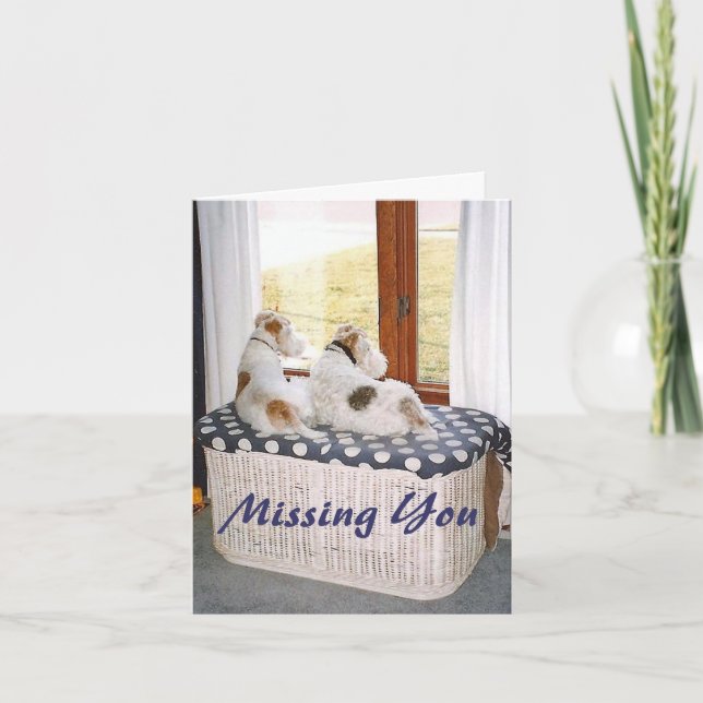 Tarjeta Fox terrier de dos hilos en la ventana (Anverso)