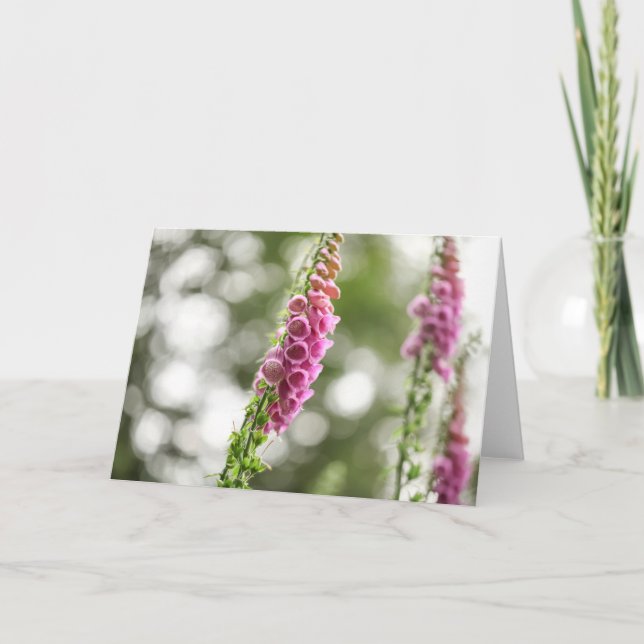 Tarjeta Foxglove Blossom (Anverso)