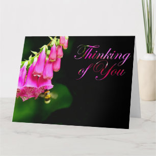 Tarjeta Foxglove y Bumble Bee