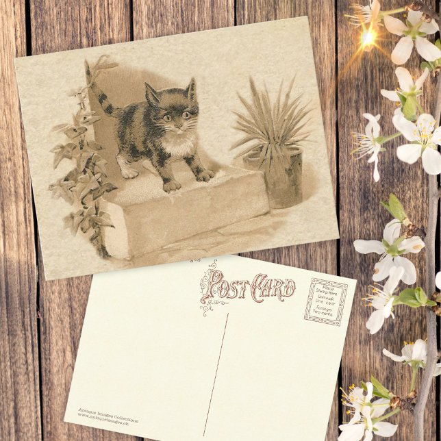 Tarjeta francesa antigua de dibujos de gatos de ép (Subido por el creador)