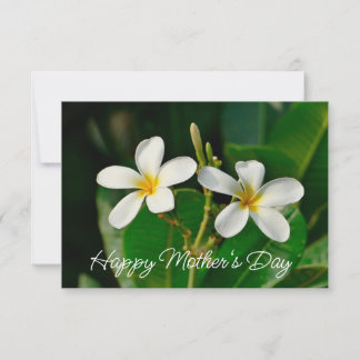 Tarjeta frangipani blanca