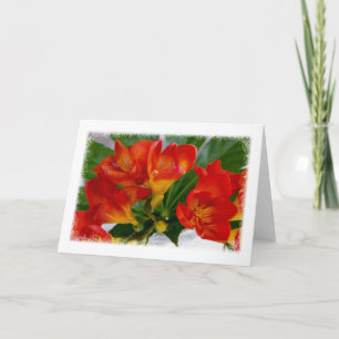 Tarjeta Freesia roja