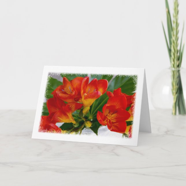 Tarjeta Freesia roja (Anverso)