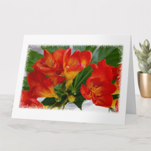 Tarjeta Freesia roja (Planta pequeña)