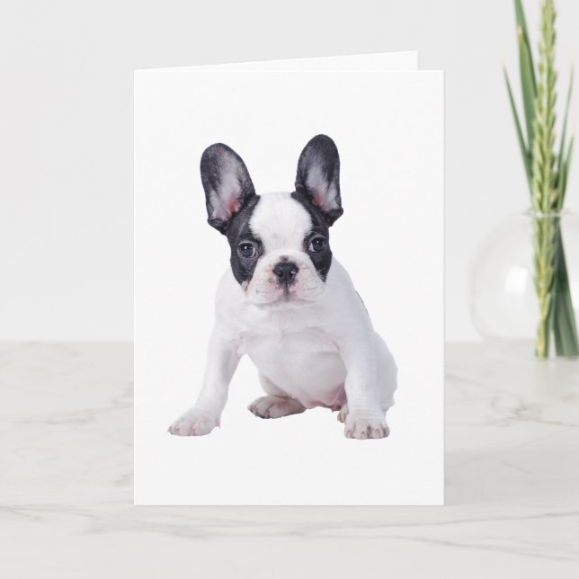 Tarjeta Frenchie - perrito del bulldog francés (Anverso)