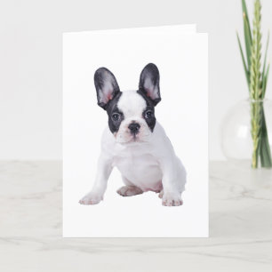 Tarjeta Frenchie - perrito del bulldog francés