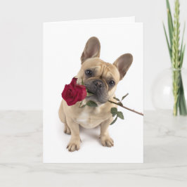 Tarjeta Frenchie Valentine – Un gran amor en un pequeño pa
