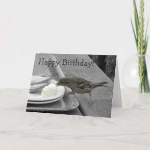 Tarjeta fresca del gorrión