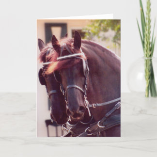 Tarjeta Friesian Carriles Horses
