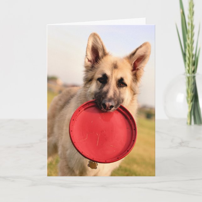 Tarjeta Frisbee (Anverso)