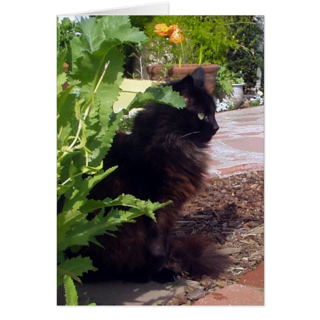 Tarjeta frondosa de Madeleine (Frente)