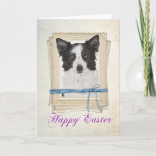 Tarjeta Frontal Collie Easter