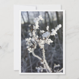 Tarjeta  „Frostpoesie – Einladung mit Raureif-Zweig“