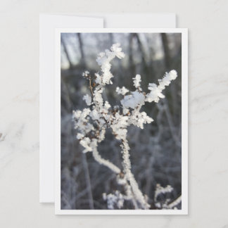 Tarjeta „Frostpoesie – Einladung mit Raureif-Zweig“