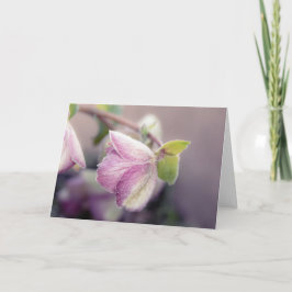 Tarjeta Frosty Helleborus Note