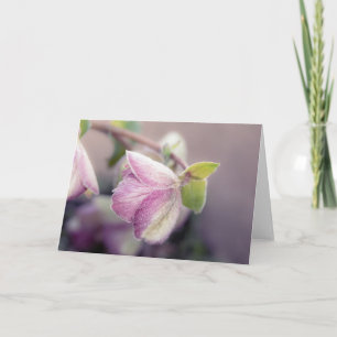 Tarjeta Frosty Helleborus Note