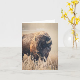 Tarjeta Frosty Morning - 4" x 5.6" Notecard