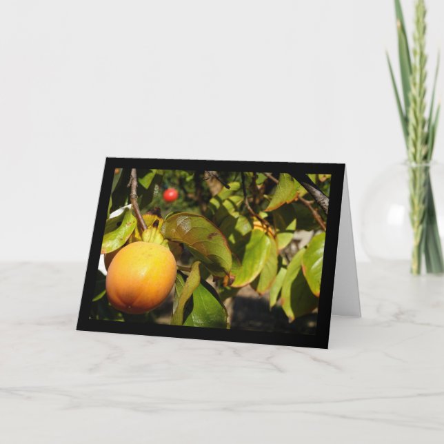 Tarjeta Fruta Caqui en Árbol (Anverso)