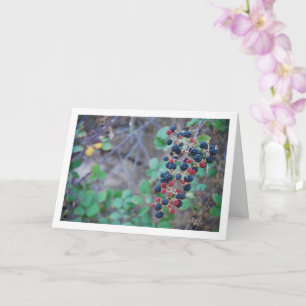 Tarjeta Fruta de Blackberry salvaje