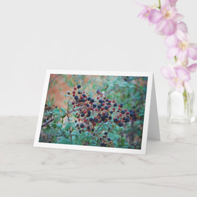 Tarjeta Fruta de Blackberry salvaje (Orquídea)