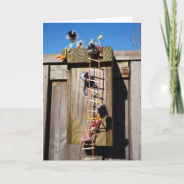 Tarjeta Fubby's die een vogelhuis beklimmen.