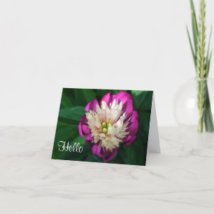 TARJETA "FUCHSIA & WHITE PEONY"