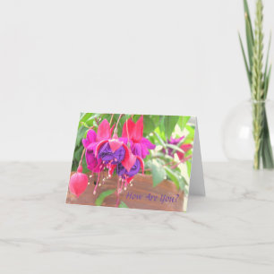 TARJETA FUCSIA ROSADO Y PÚRPURA QUE CONECTA EN CASCADA DEL