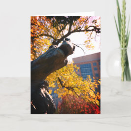 Tarjeta Fuente del caballo Kansas City Plaza en otoño