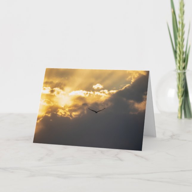 Tarjeta Fuera Del Águila Calva Del Sol (Anverso)
